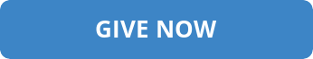 Blue give now button